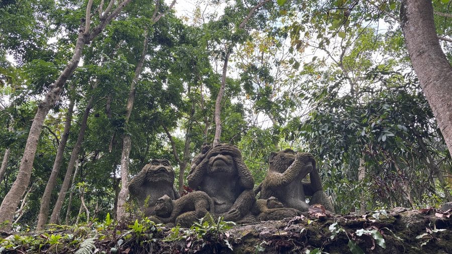 Long-tailed macaques in Ubud Monkey Forest, Bali
