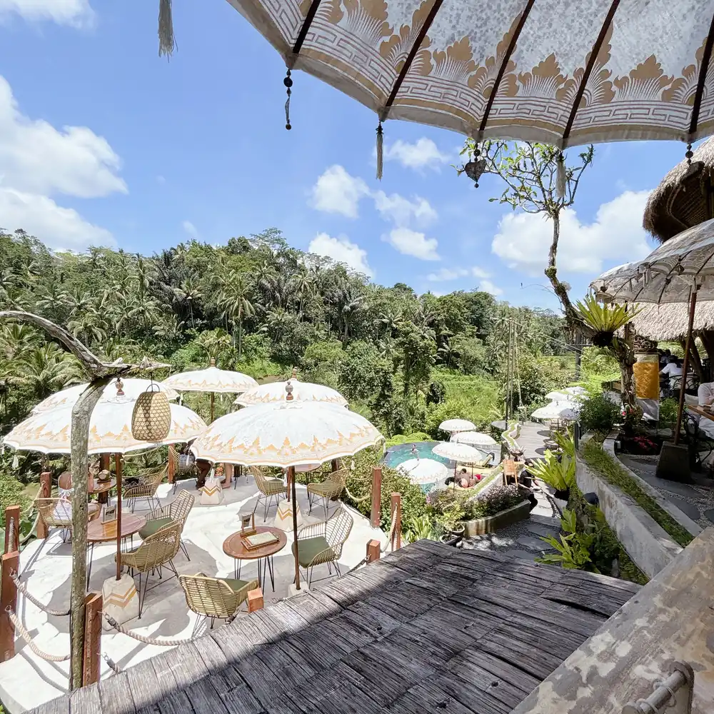 Rattan umbrellas and loungers around the edge pool at TIS Cafe overlooking the jungle valley near Ubud, Bali
