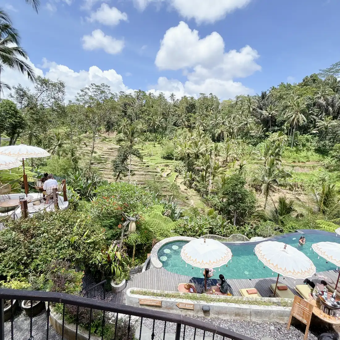 Green rice terraces and jungle seen from the terrace at TIS Cafe near Ubud, Bali