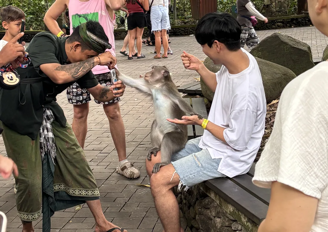 Ubud Day Trip from Kuta: Monkey Forest, Palace & Rice Terraces