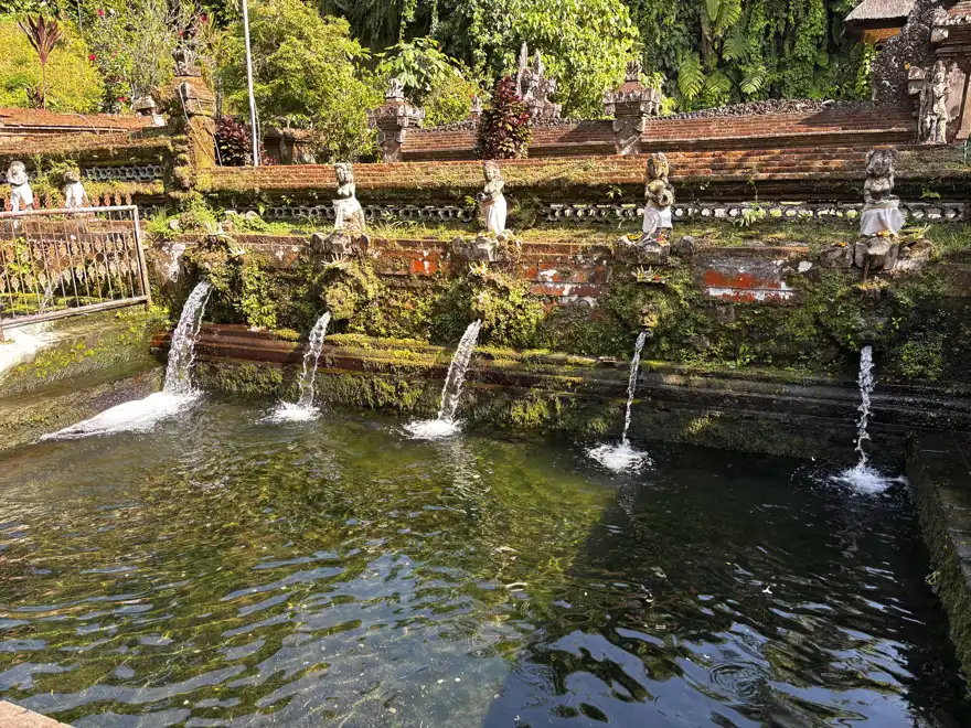 Sebatu Holy Spring & Ubud Waterfalls: A Bali Day Trip from Kuta