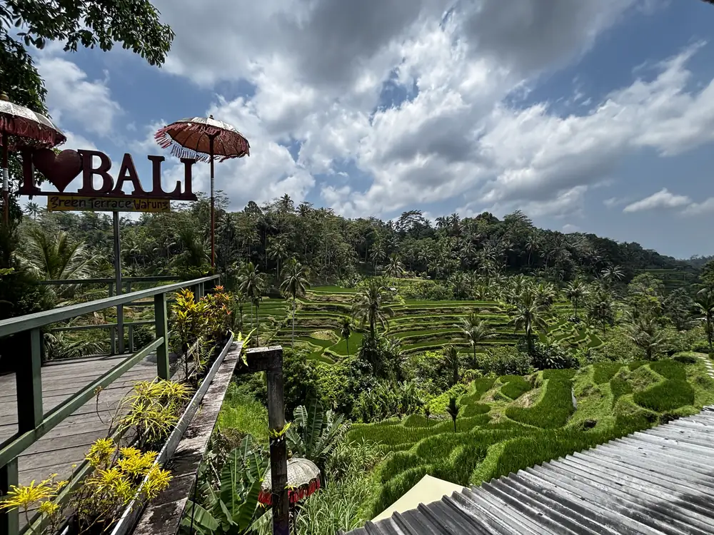 The stepped green Tegalalang rice terraces seen from a viewing deck near Ubud, Bali